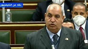 النائب عامر الشوربجي عضو مجلس النواب 
