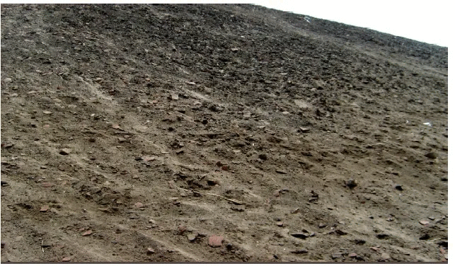 صورة ارشيفية صورة ارشيفية