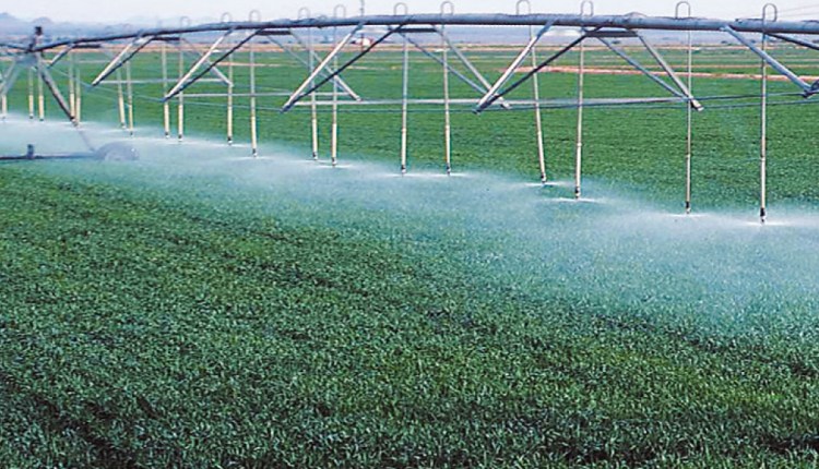 الري الحديث  الري الحديث