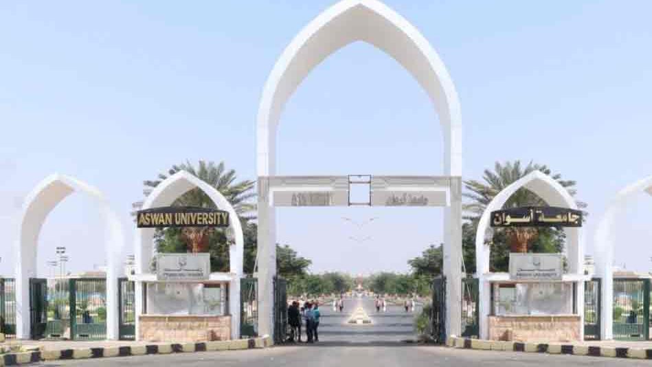 جامعة أسوان 