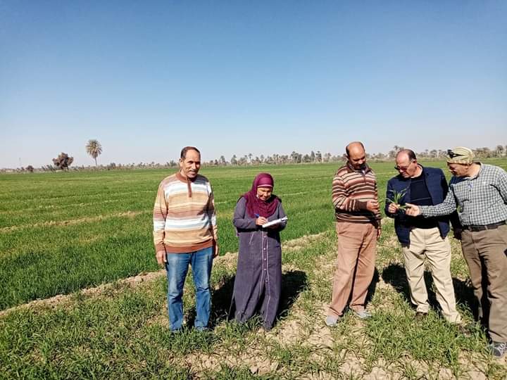 الحملات الزراعية 