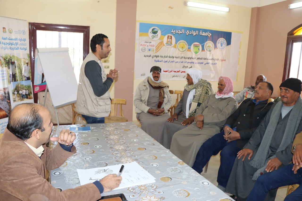 جامعة الوادى الجديد تنظم دورات لتحسين الإنتاجية الزراعية