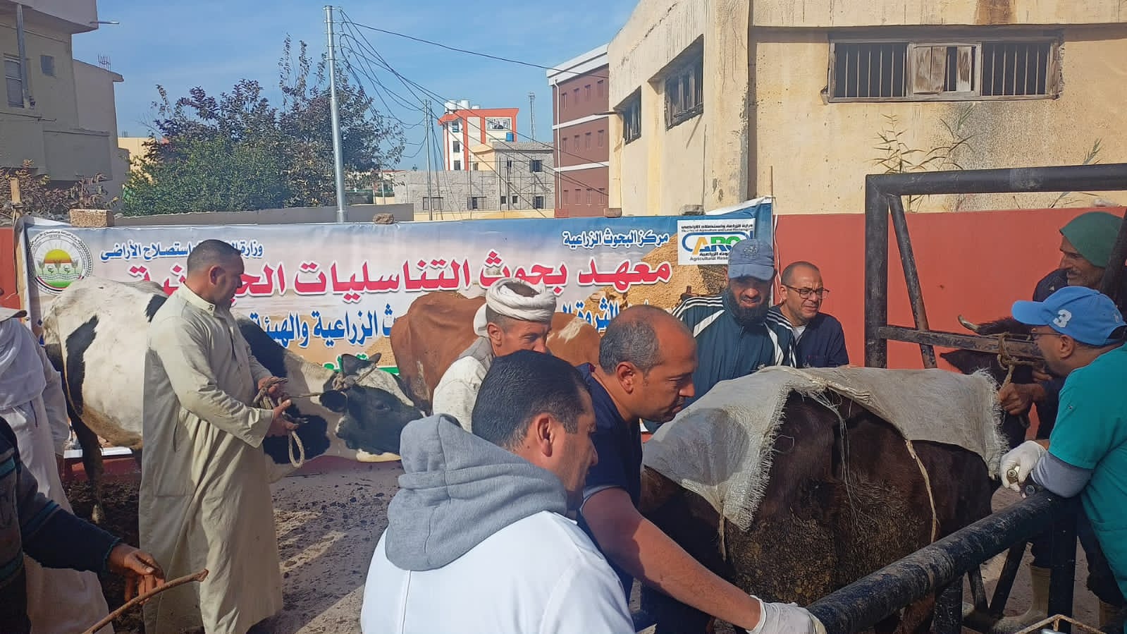 معهد التناسليات الحيوانية