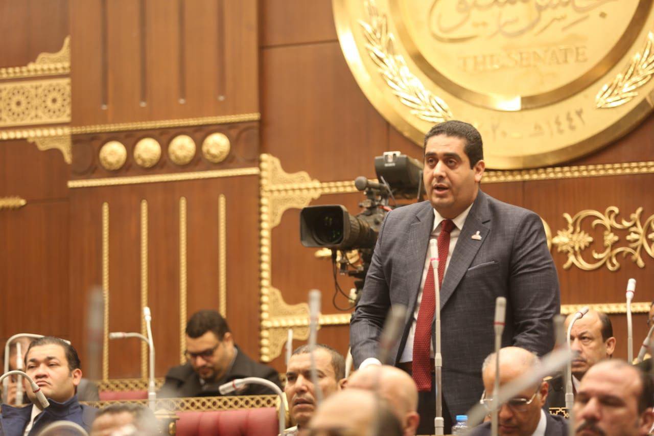 النائب وليد التمامى