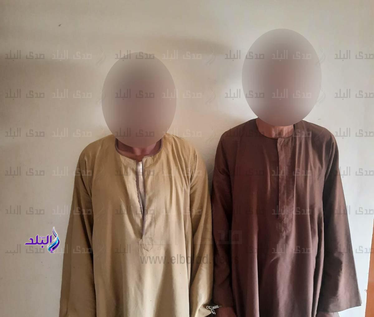 6ae9c65a-0dab-4d2f-aff7-60c66159f678