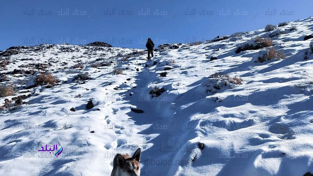 الثلوج بالجبال الثلوج بالجبال