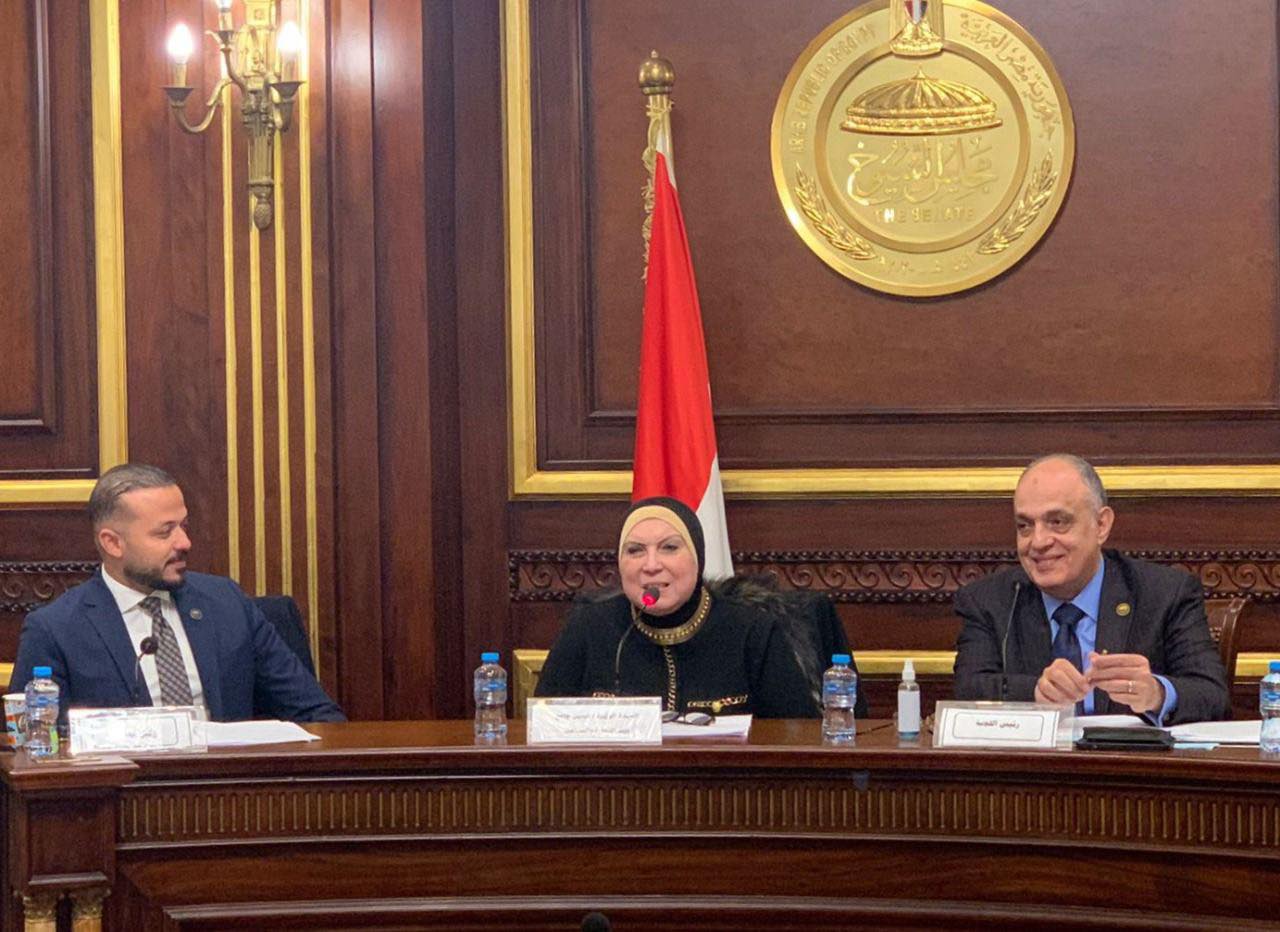  نيفين جامع  وزيرة التجارة والصناعة