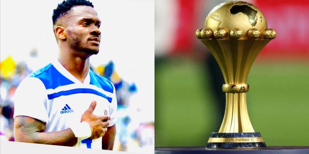 كأس أمم إفريقيا - ويلفريد إيبان