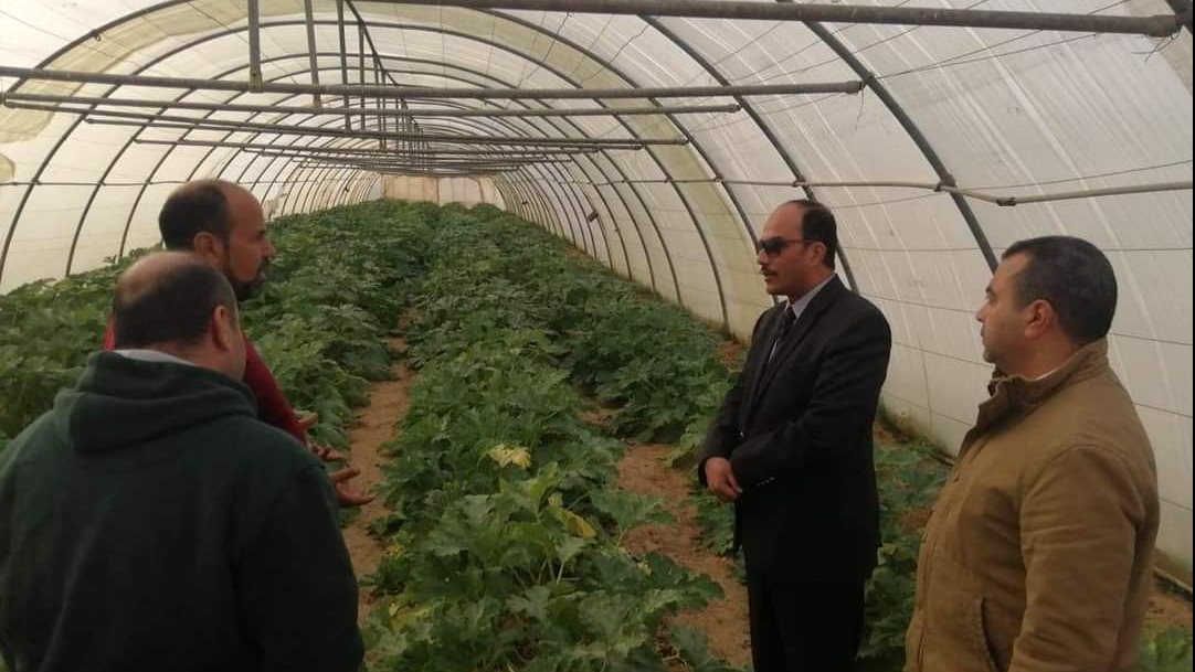 خدمات زراعية للمزارعين عن طريق جامعة العريش 