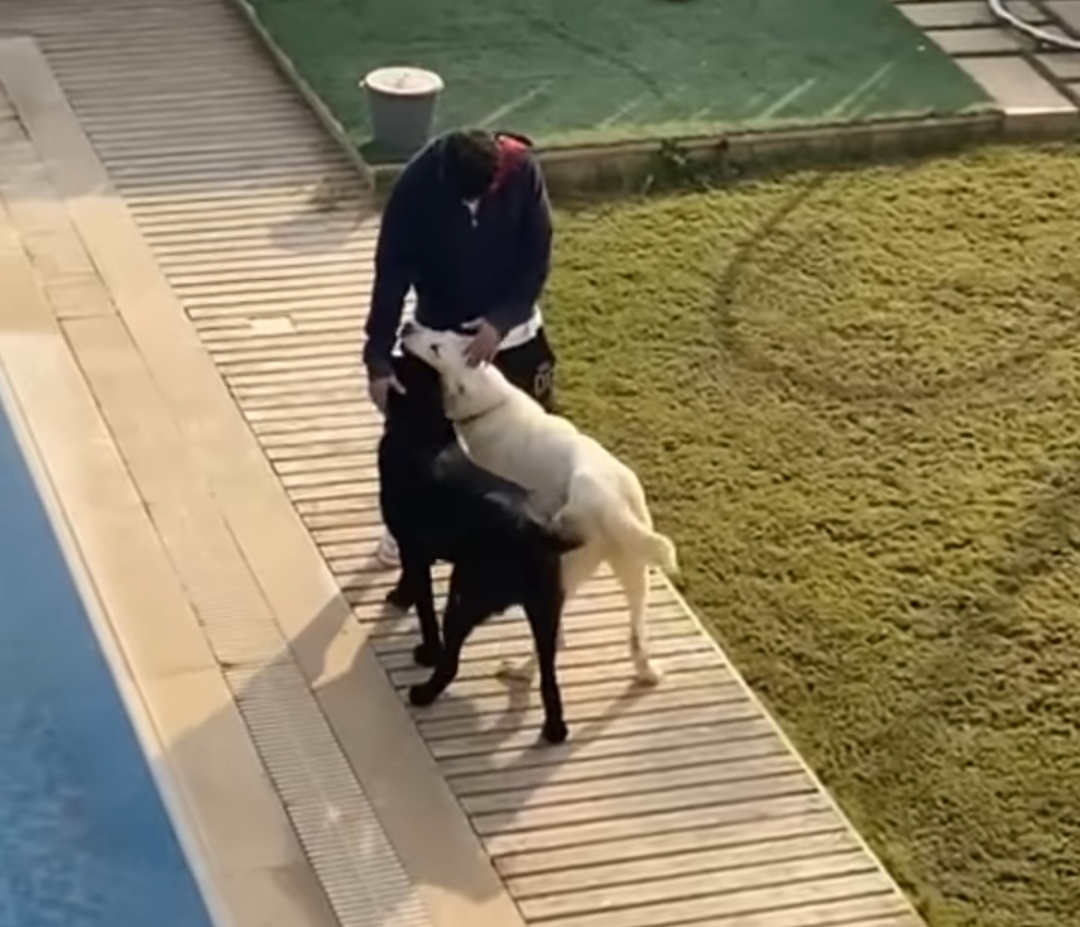 IMG_٢٠٢٢٠١٠٨_١٦٣٨١٨