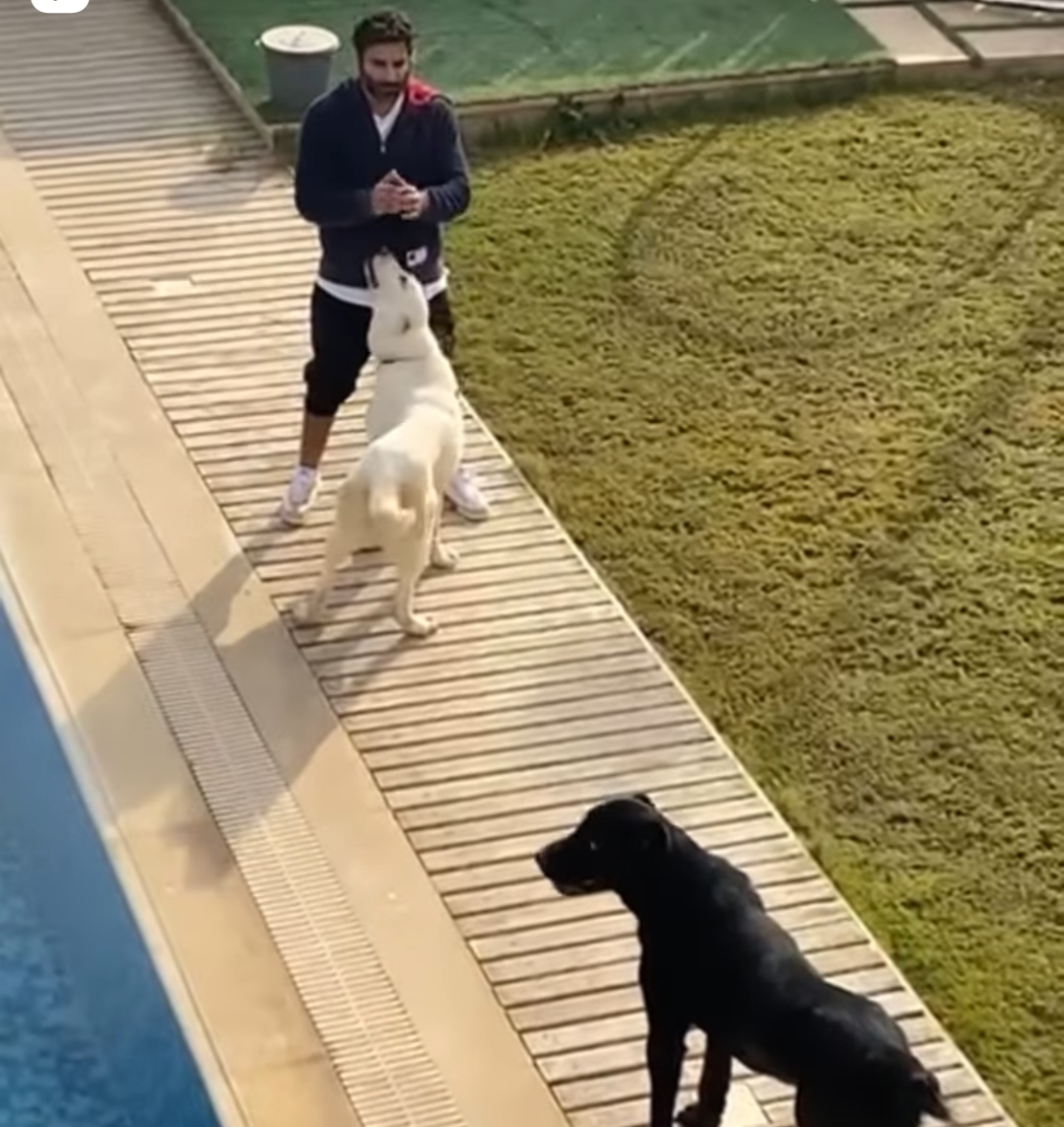 IMG_٢٠٢٢٠١٠٨_١٦٣٧٥٨