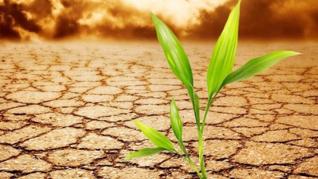 التغيرات المناخية - صورة تعبيرية