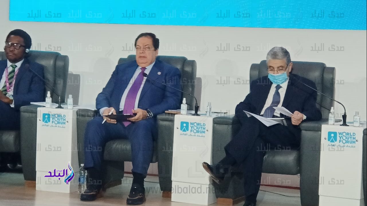 النائب محمد أبوالعينين وكيل مجلس النواب