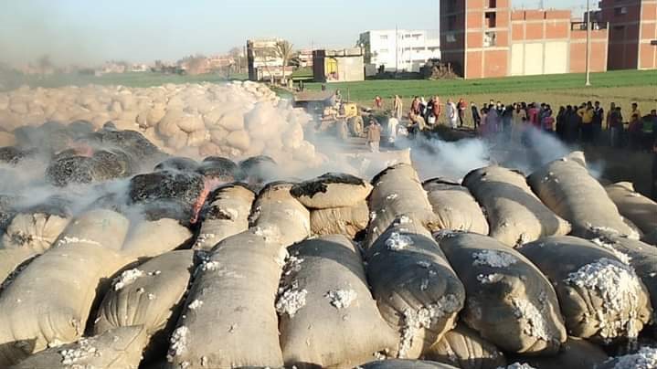 عاجل ..اندلاع حريق هائل بشونة للقطن بقرية كوم مهنا بالغربية 