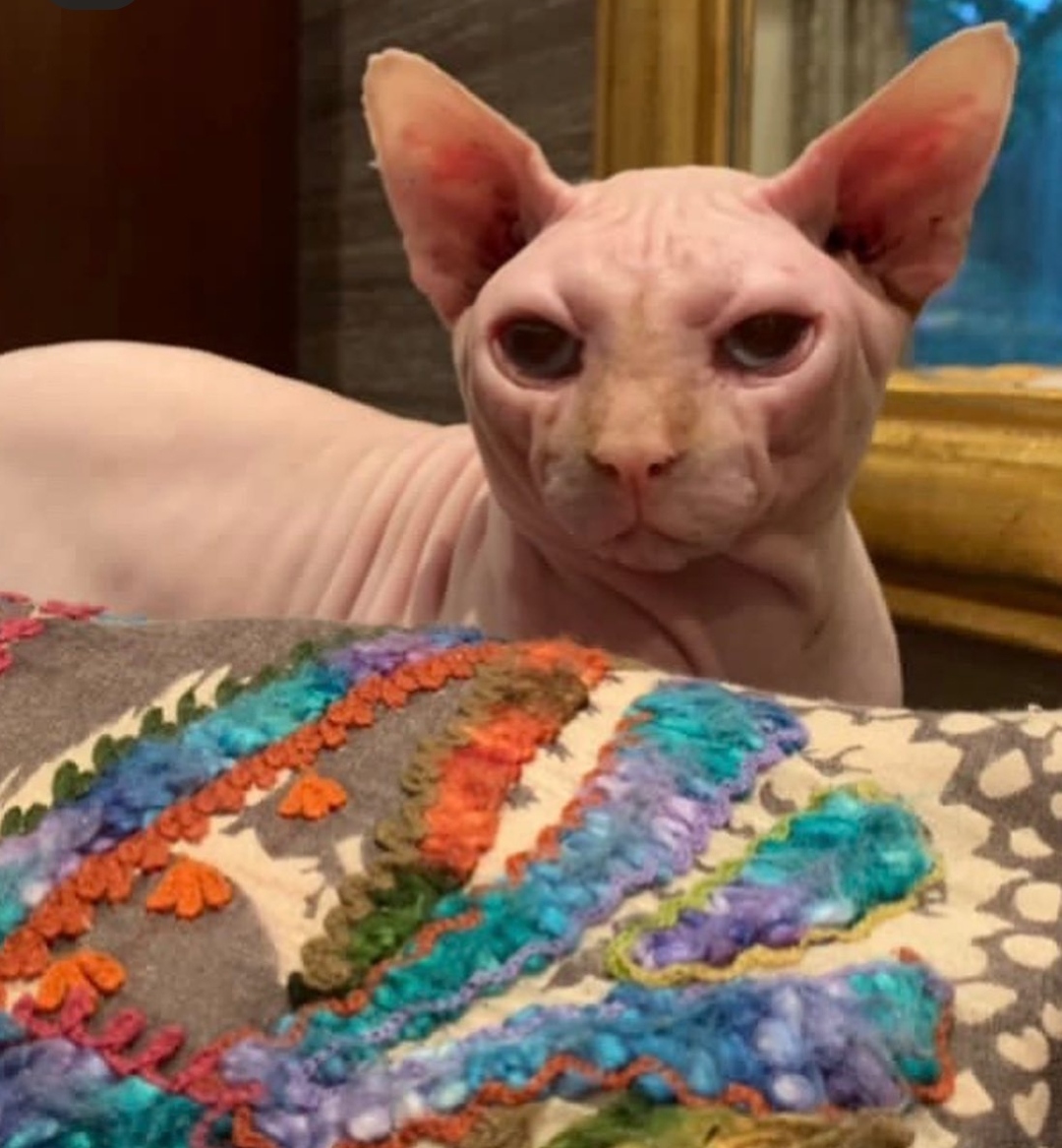 IMG_٢٠٢٢٠١١١_١٧٥٣٣٣