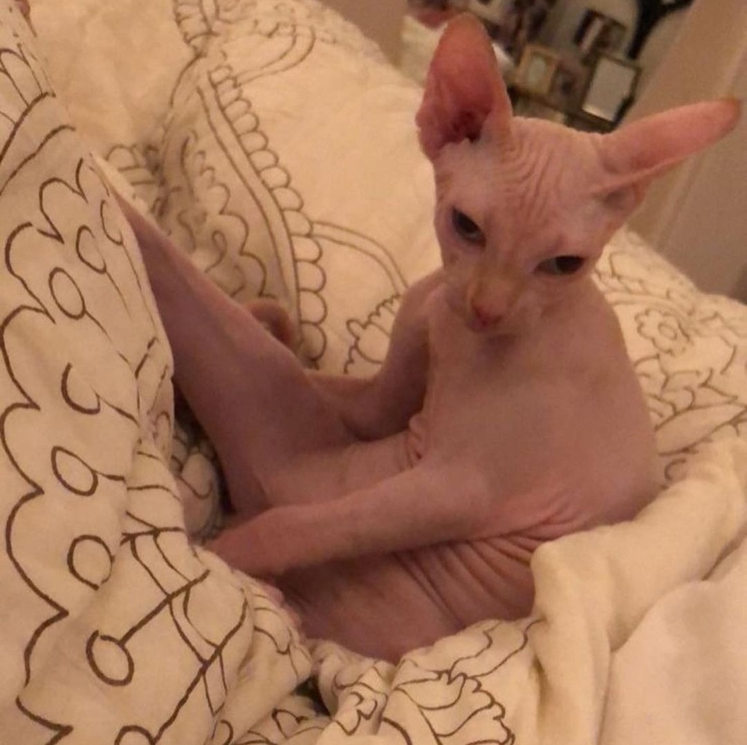 IMG_٢٠٢٢٠١١١_١٧٥٣١٥