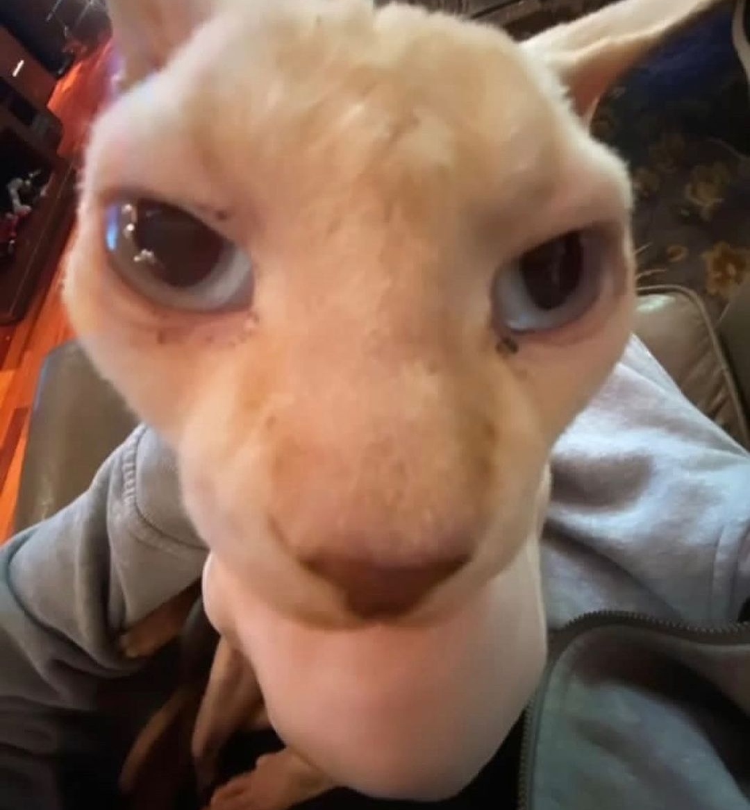 IMG_٢٠٢٢٠١١١_١٧٥٣٠٦