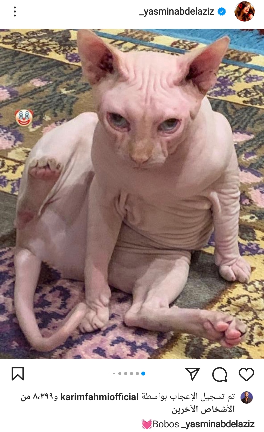 IMG_٢٠٢٢٠١١١_١٧٥٢٤٨