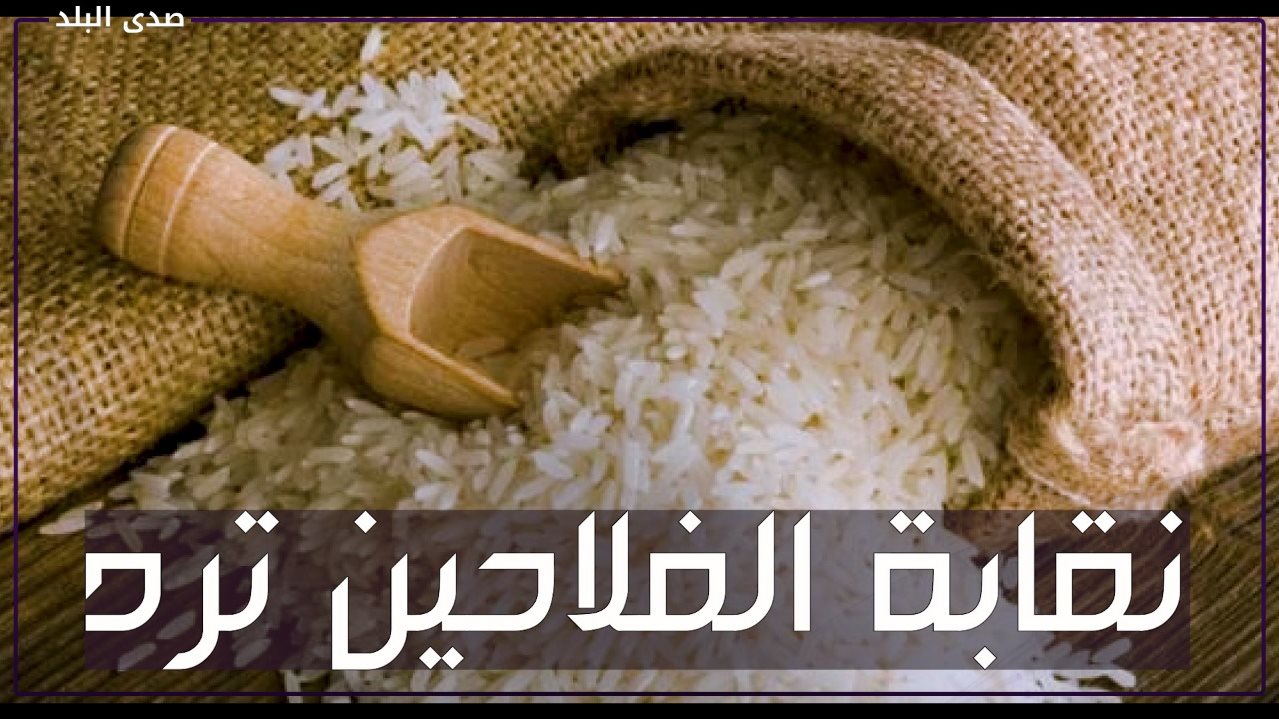 سبب ارتفاع أسعار الأرز .. وموعد انخفاضه