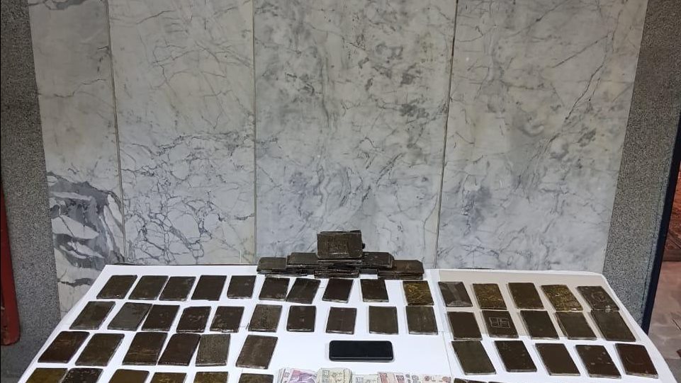 المضبوطات