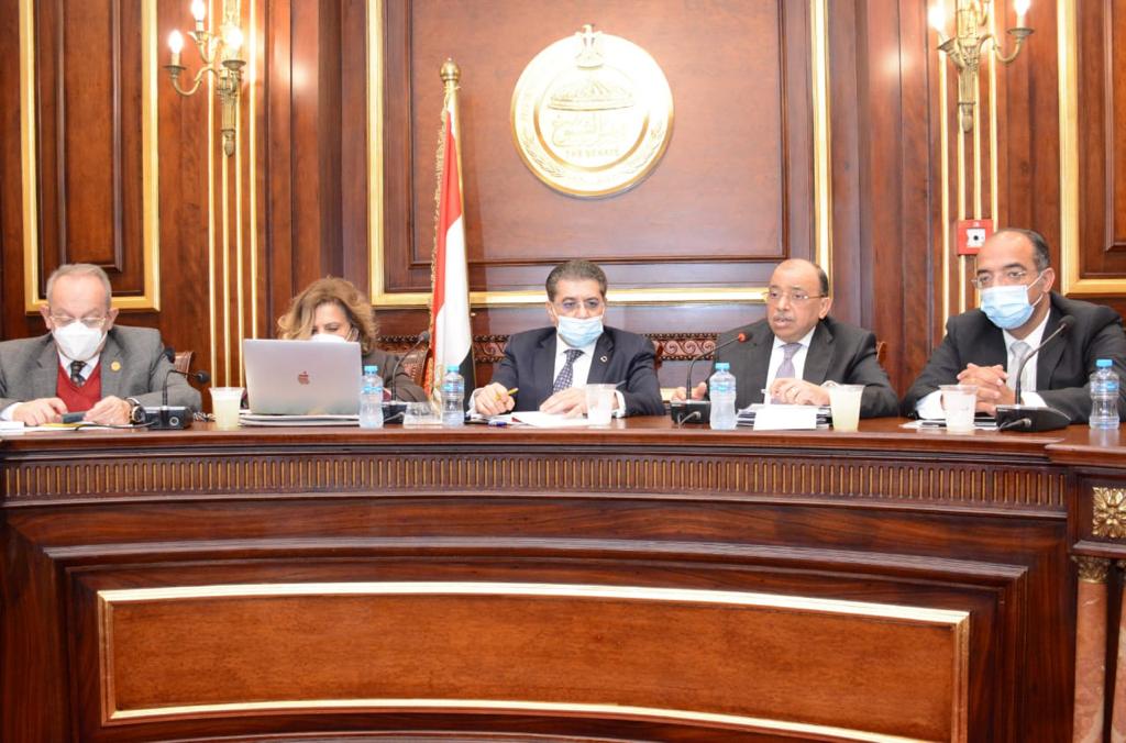 وزير التنمية المحلية بمجلس الشيوخ 