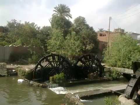 طقس الفيوم 