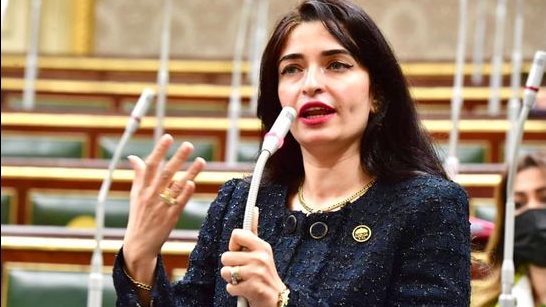 إيرين سعيد، عضو لجنة الصحة بمجلس النواب