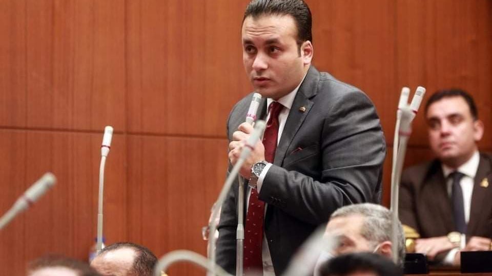 عمرو فهمي، عضو مجلس الشيوخ 