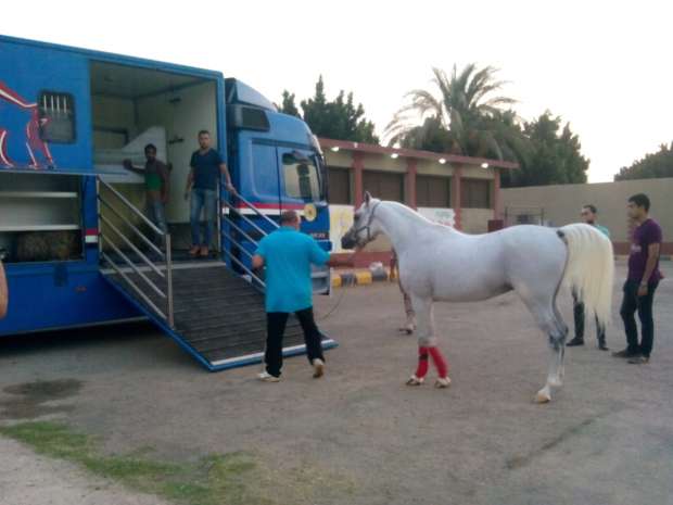 أرشيفية