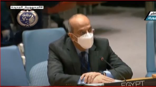 مندوب مصر بجلسة مجلس الأمن