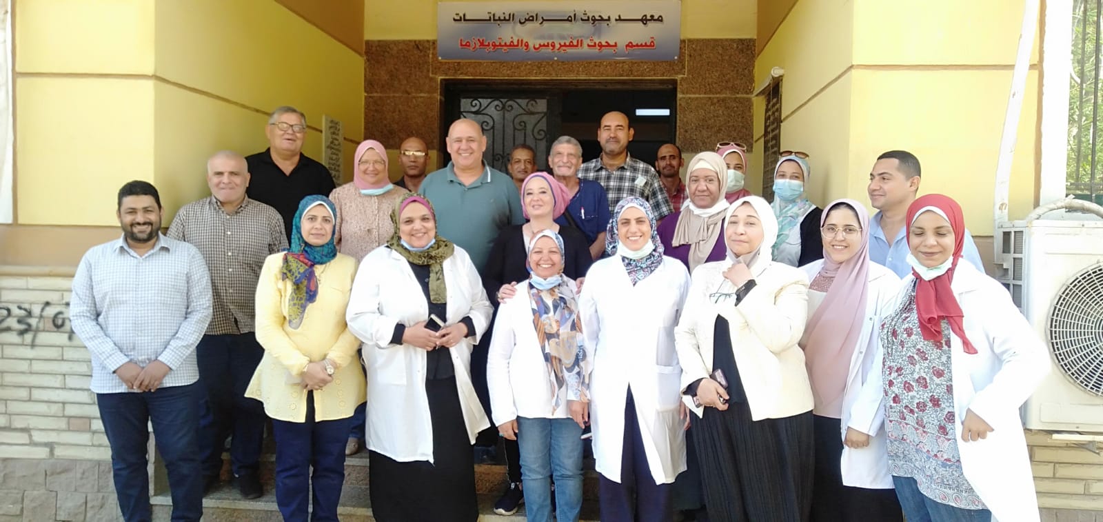 أمراض النباتات