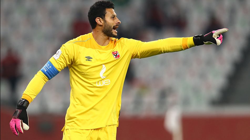 الشناوي