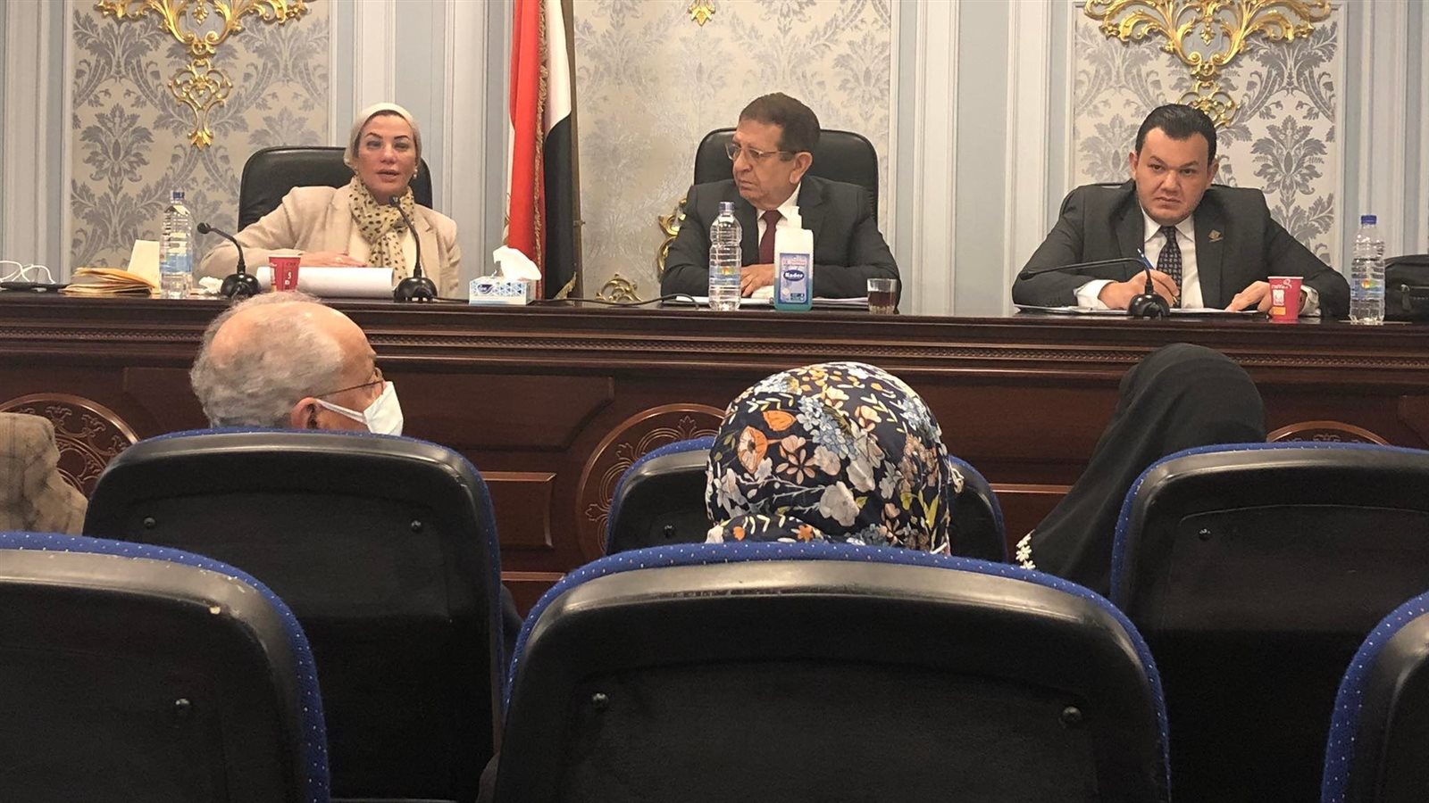 الدكتورة ياسمين فؤاد ، وزيرة البيئة