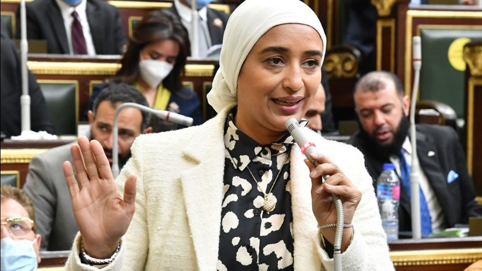 النائبة أميرة أبو شقة عضو مجلس النواب