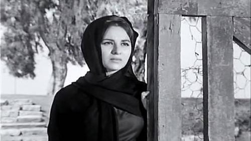 فاتن حمامة 