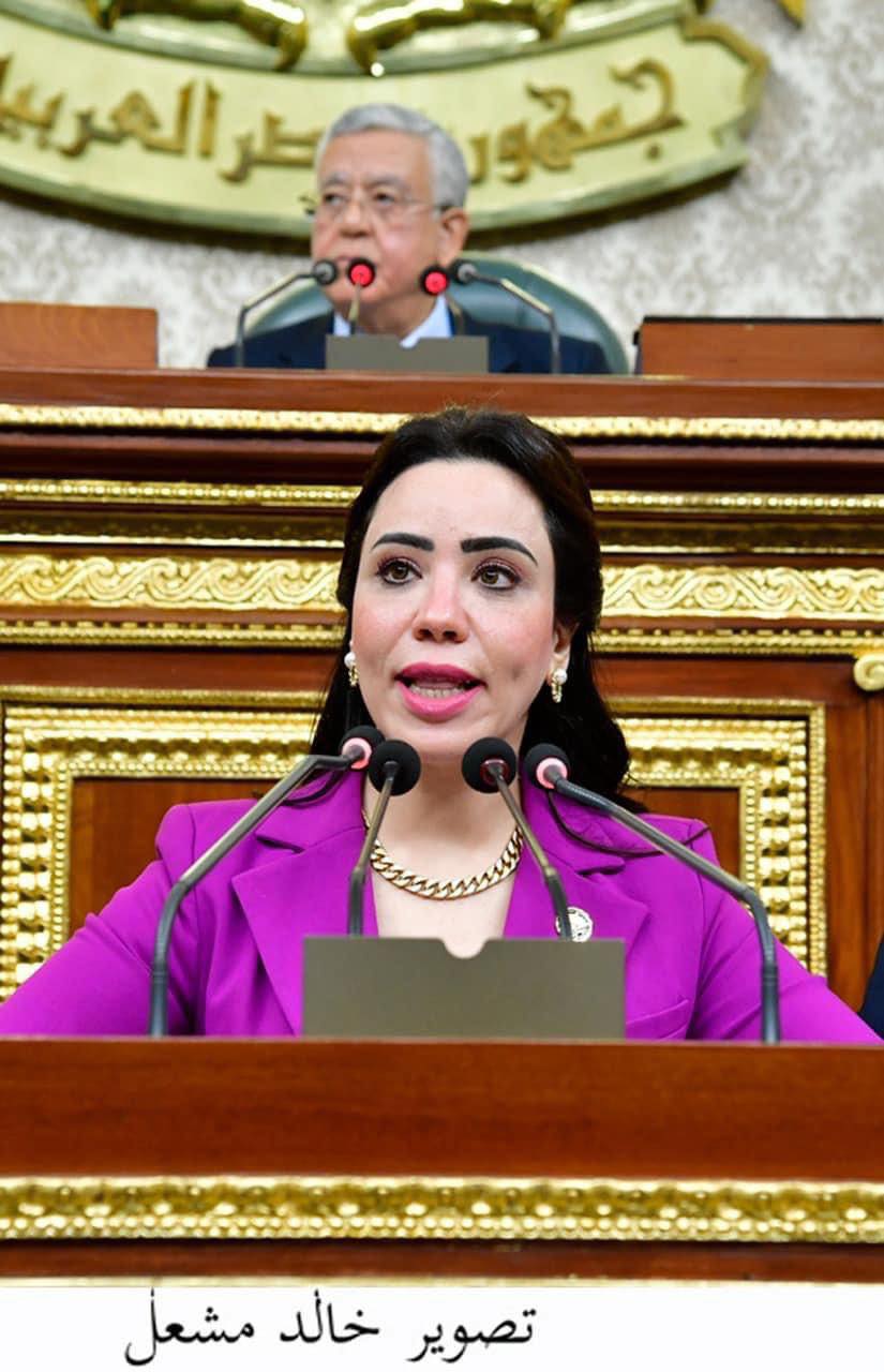 الدكتورة غادة علي عضو اللجنة الاقتصادية بمجلس النواب 