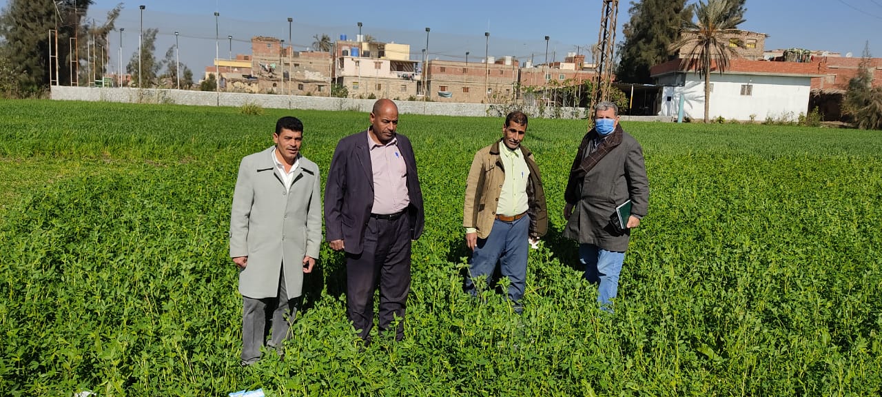 الزراعة تمر علي المحاصيل الشتوية  