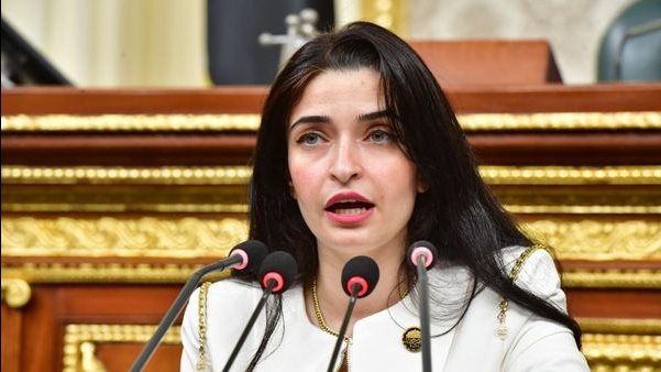  إيرين سعيد ،عضو لجنة الشئون الصحية بمجلس النواب