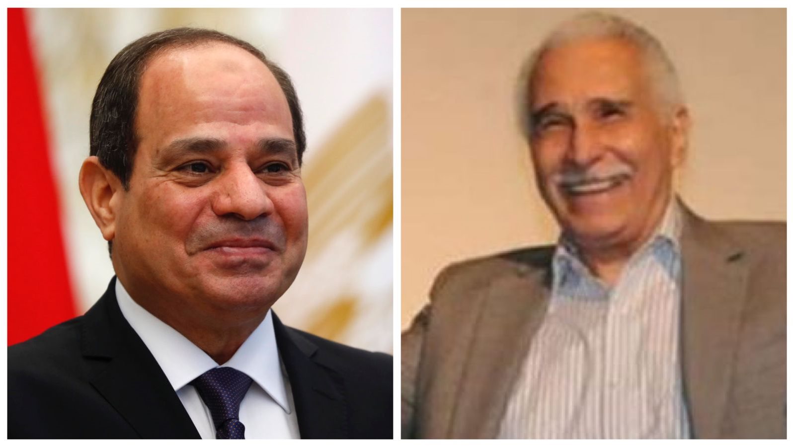 الرئيس عبد الفتاح السيسى والفنان عبد الرحمن أبو زهرة 