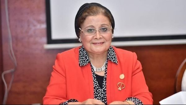  النائبة عبلة الألفي ، عضو لجنة الصحة بالبرلمان