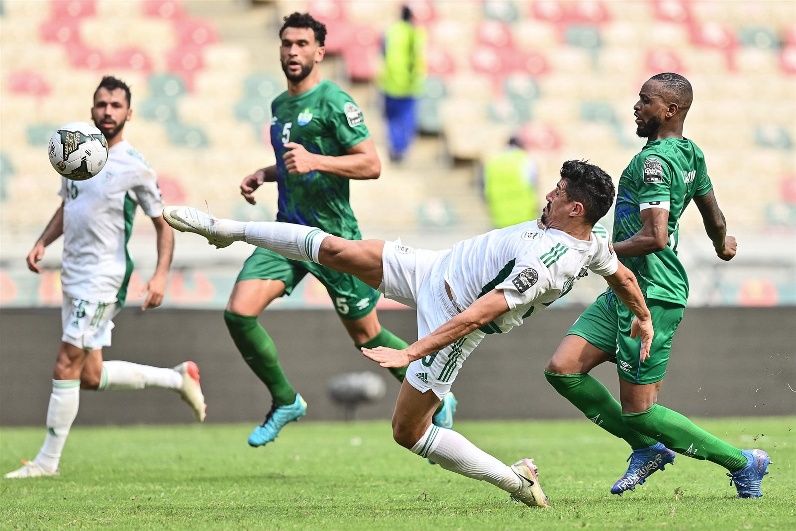 مباراة الكاميرون والجزائر