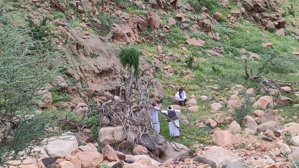  مطالب بفتح محمية "علبة" للسياحة الداخلية 