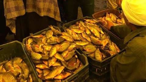 مواد غذائية