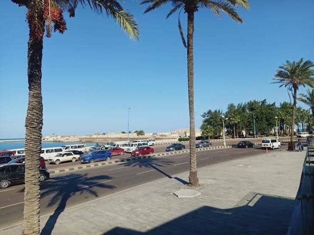 استقرار حالة الجو وسطوع الشمس في الإسكندرية 