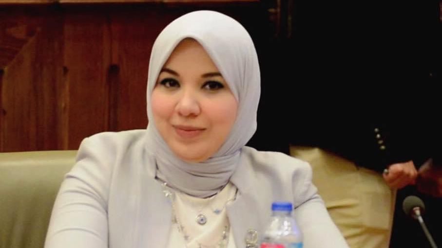 النائبة دينا هلالي عضو لجنة التضامن