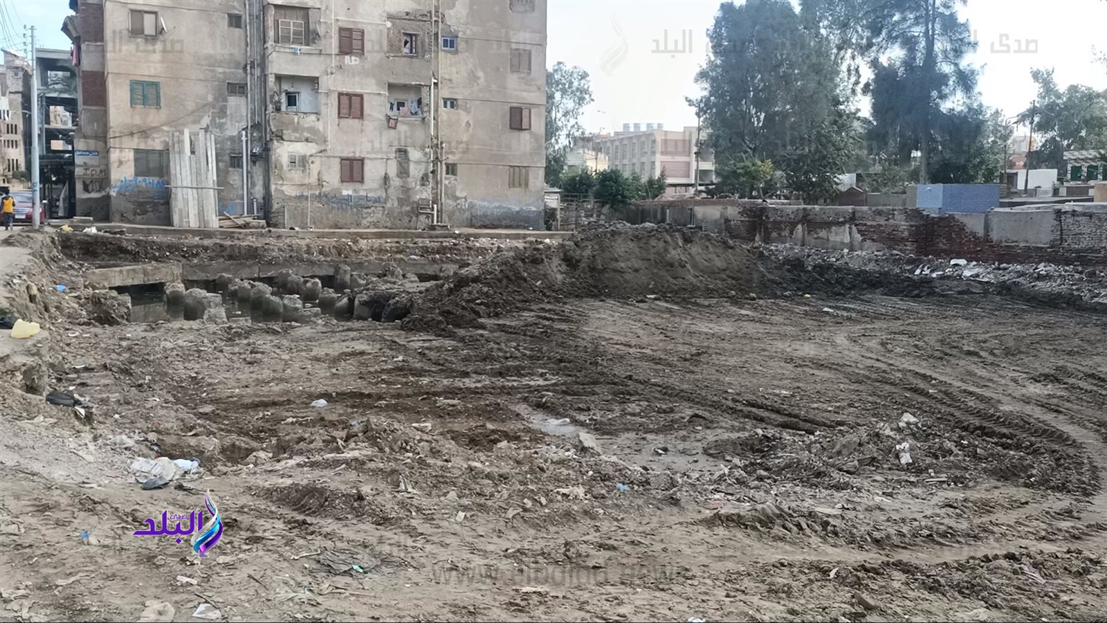 مركز كلى كفر الشيخ يبحث عن حل
