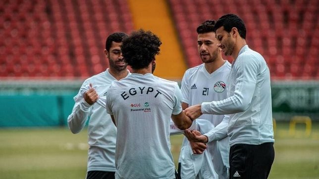 محمد الشناوي