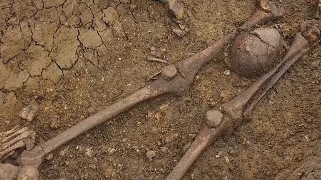 صورة لهيكل عظمي مقطوع الرأس