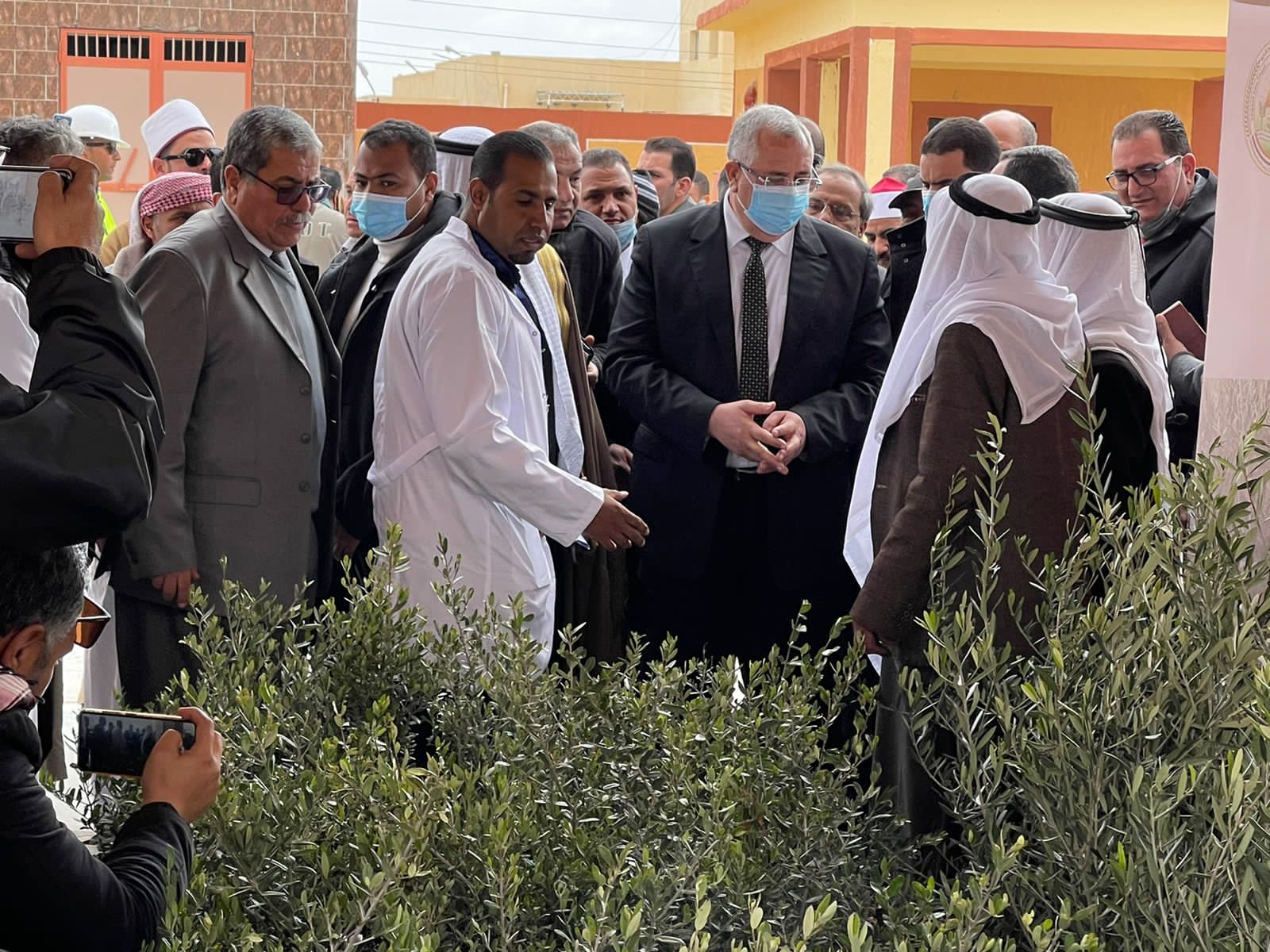 وزير الزراعة فى جولة بسيناء