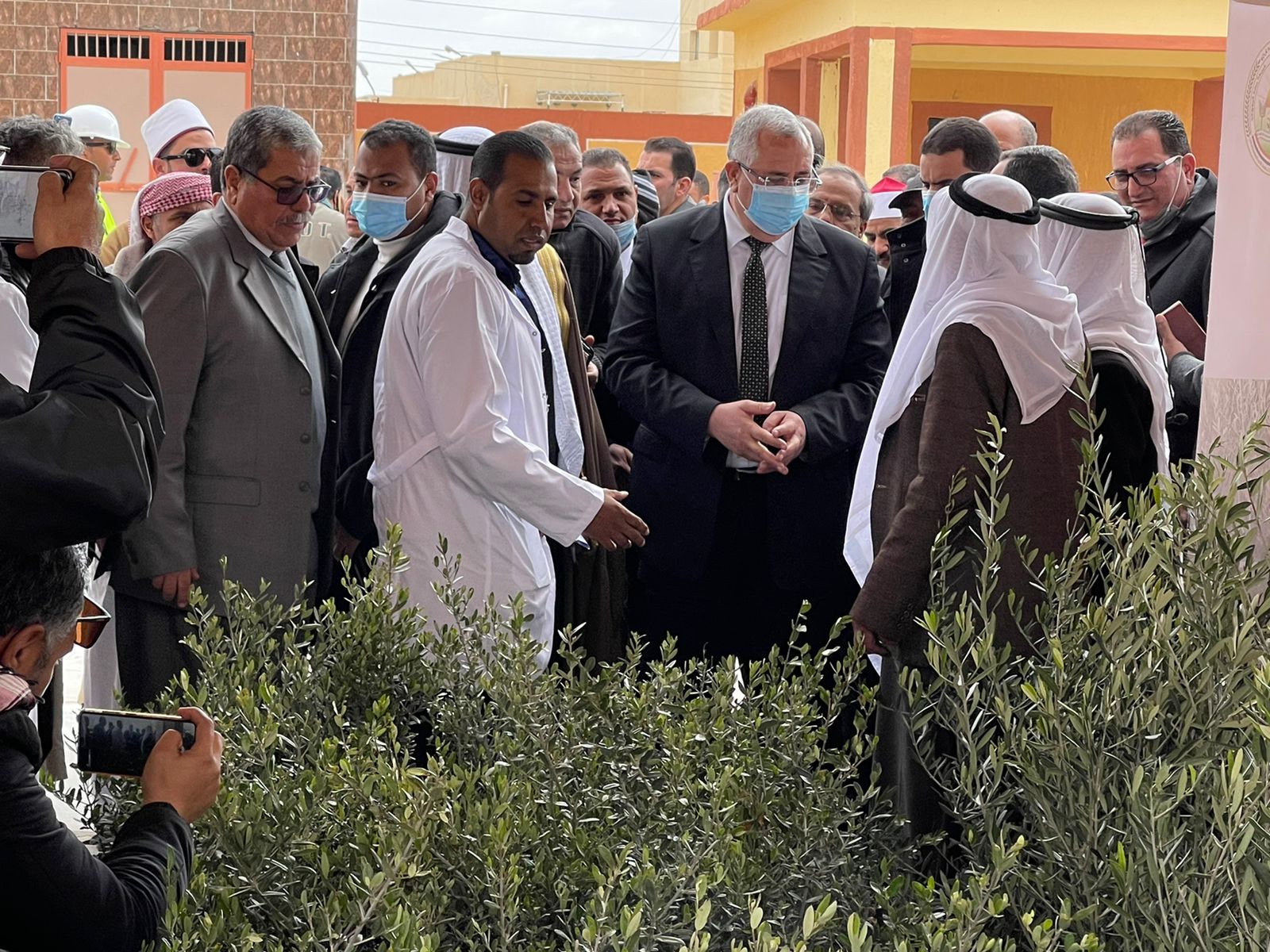 وزير الزراعة فى جولة بسيناء
